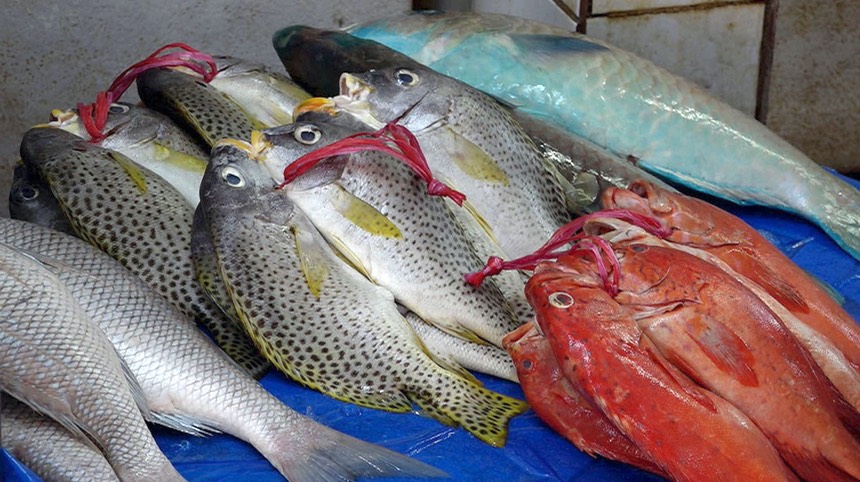 fish market 3